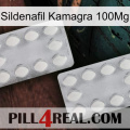 Sildenafil Kamagra 100Mg 17